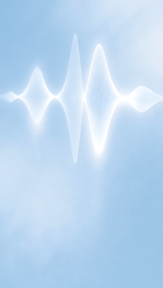 Voice Customization